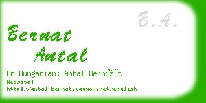 bernat antal business card